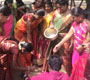 Pongal Celebration