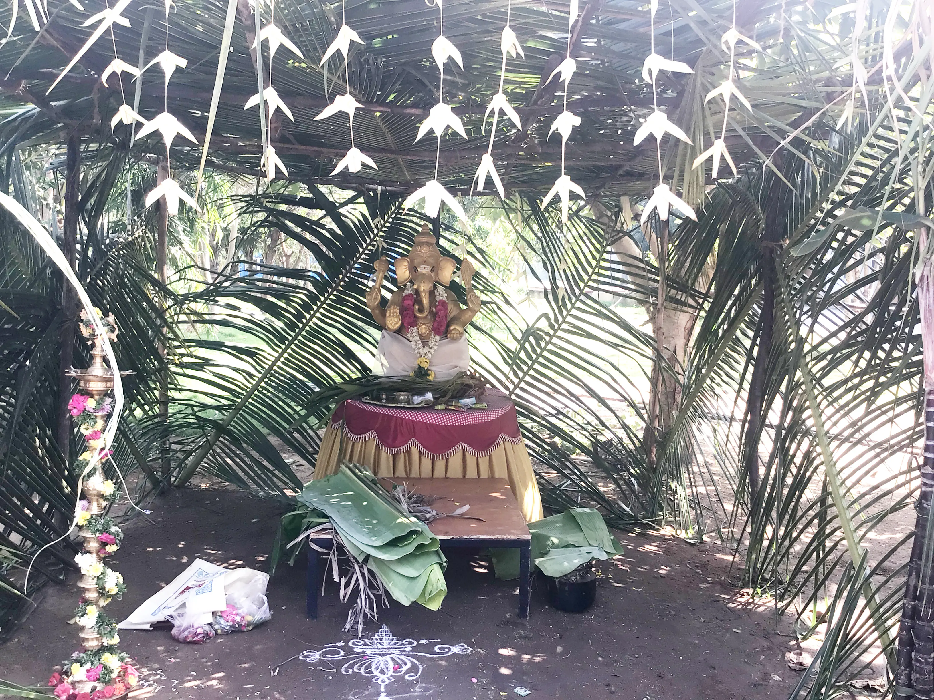 Vaigai Pongal 2023-1